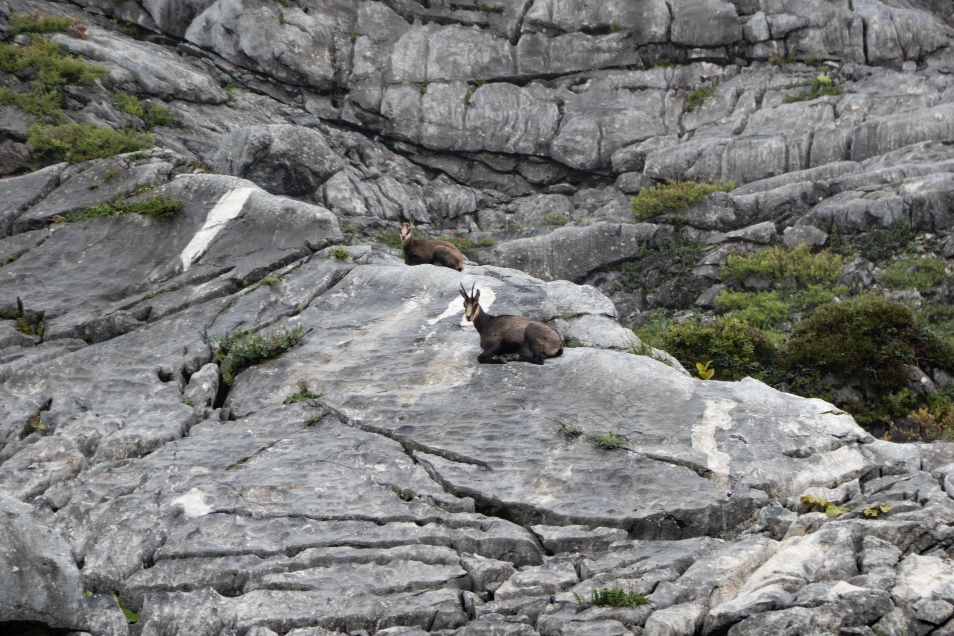 alle Rechte | © Walter Weiß
