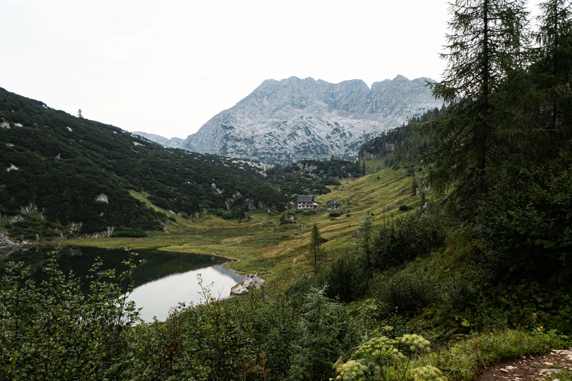 alle Rechte | © Walter Weiß