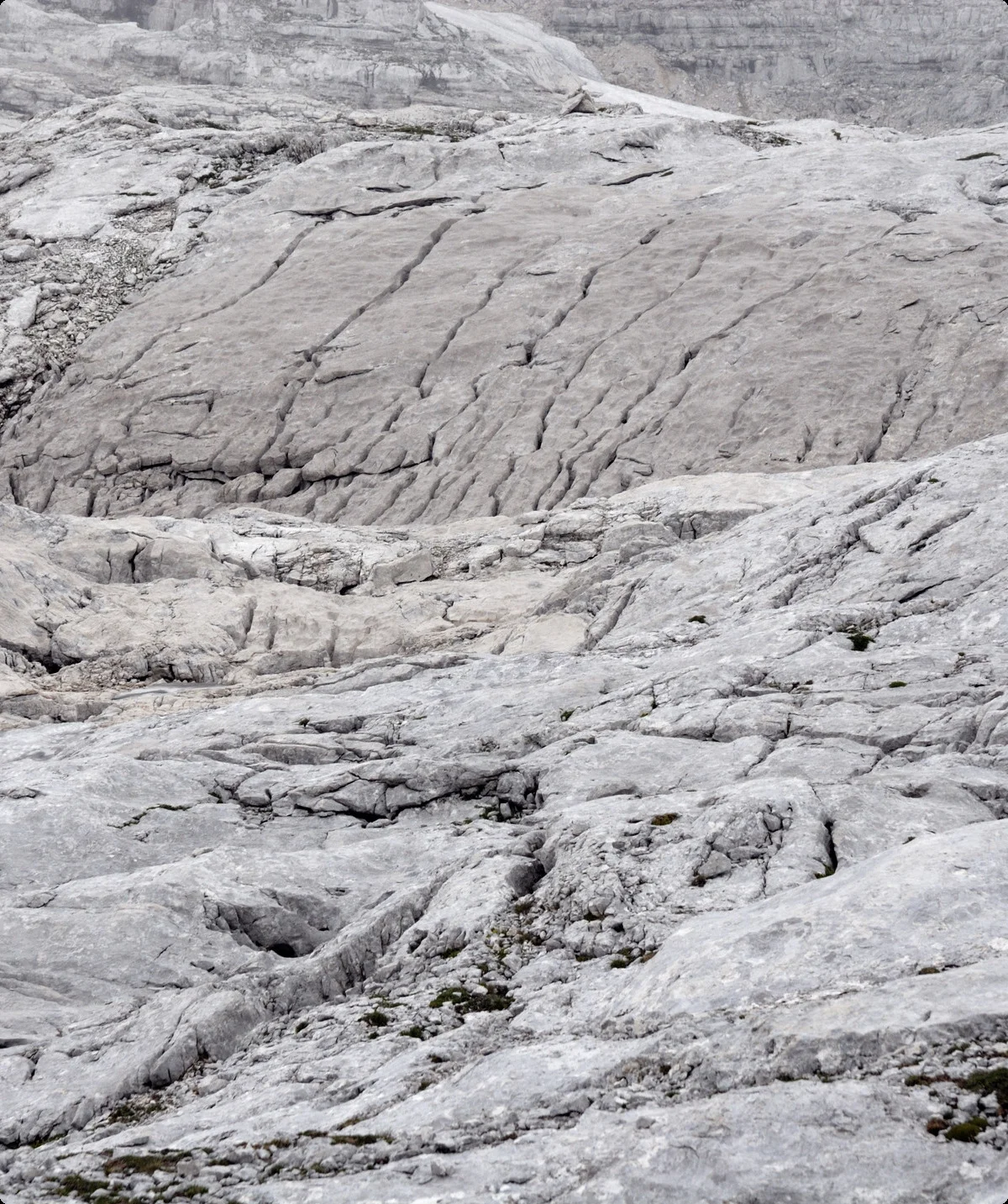 alle Rechte | © Walter Weiß